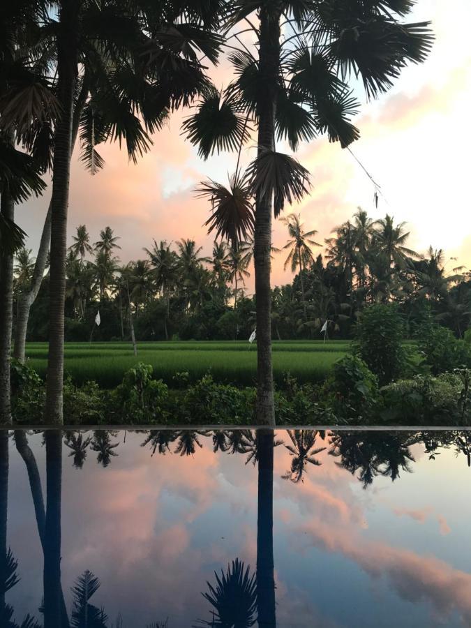 Sunset Pandawa Villa Ubud Exterior foto