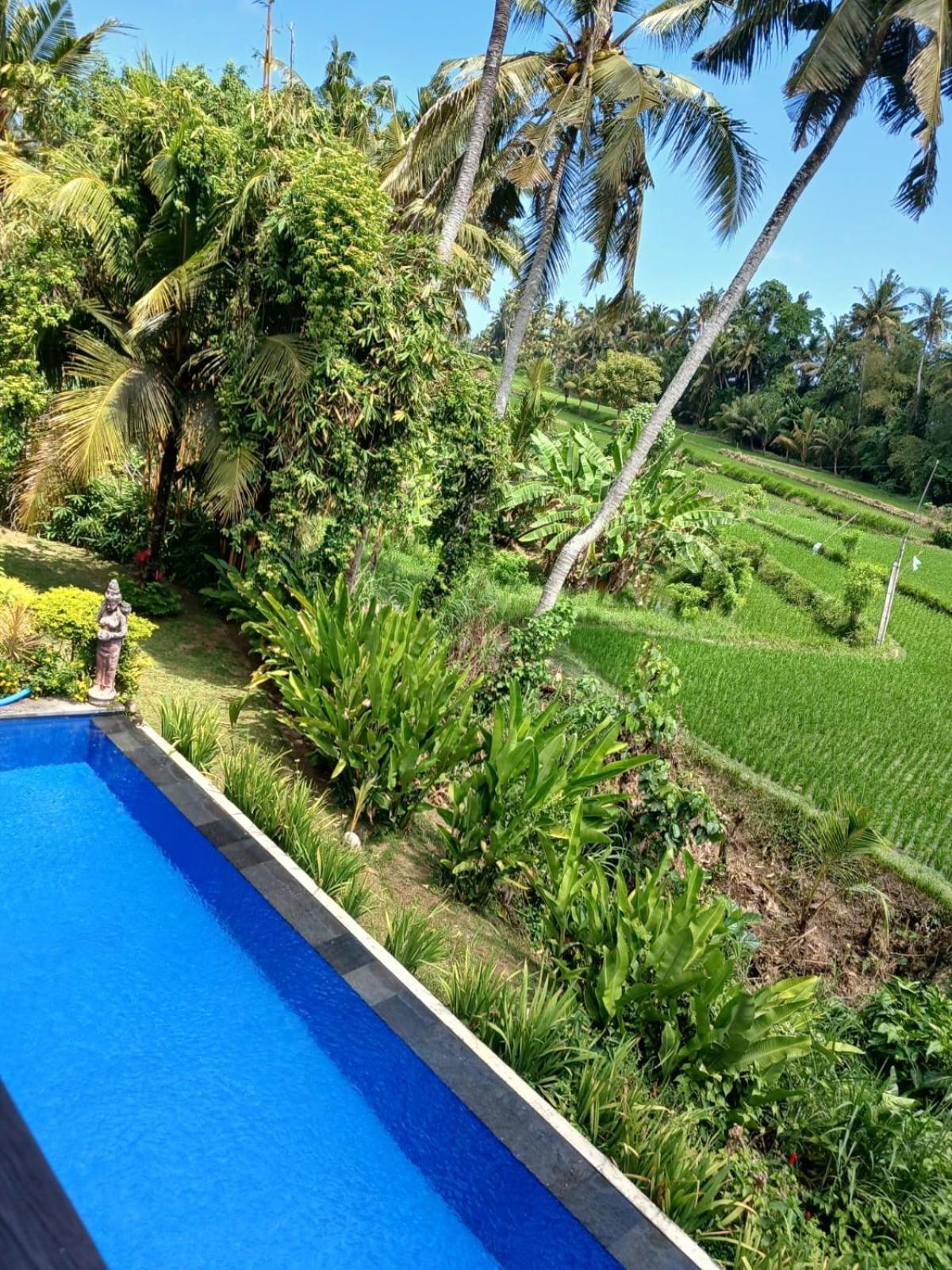 Sunset Pandawa Villa Ubud Exterior foto